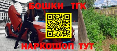 индика Лесосибирск