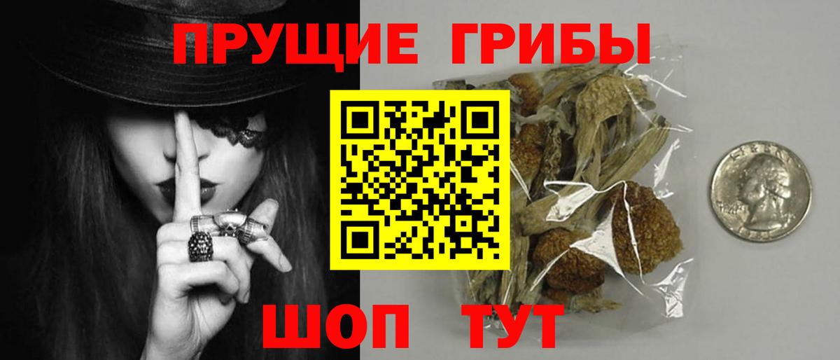 Псилоцибиновые грибы Psilocybine cubensis  Вход с VPN  купить наркотики сайты  Галлюциногенные грибы Psilocybe  Урюпинск 